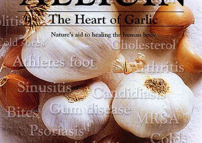 Allicin – The Heart of Garlic Nature’s aid to healing the human body